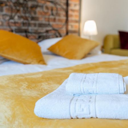 Cozy Spacious 5 Star Accommodation In The Heart Of Historic Center Клуж-Напока Экстерьер фото