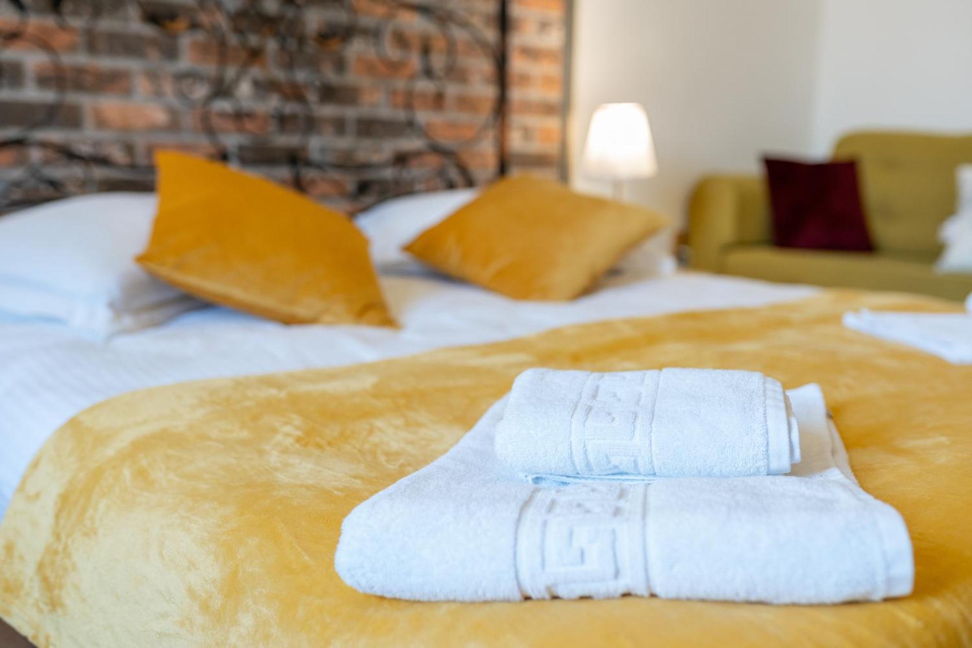Cozy Spacious 5 Star Accommodation In The Heart Of Historic Center Клуж-Напока Экстерьер фото