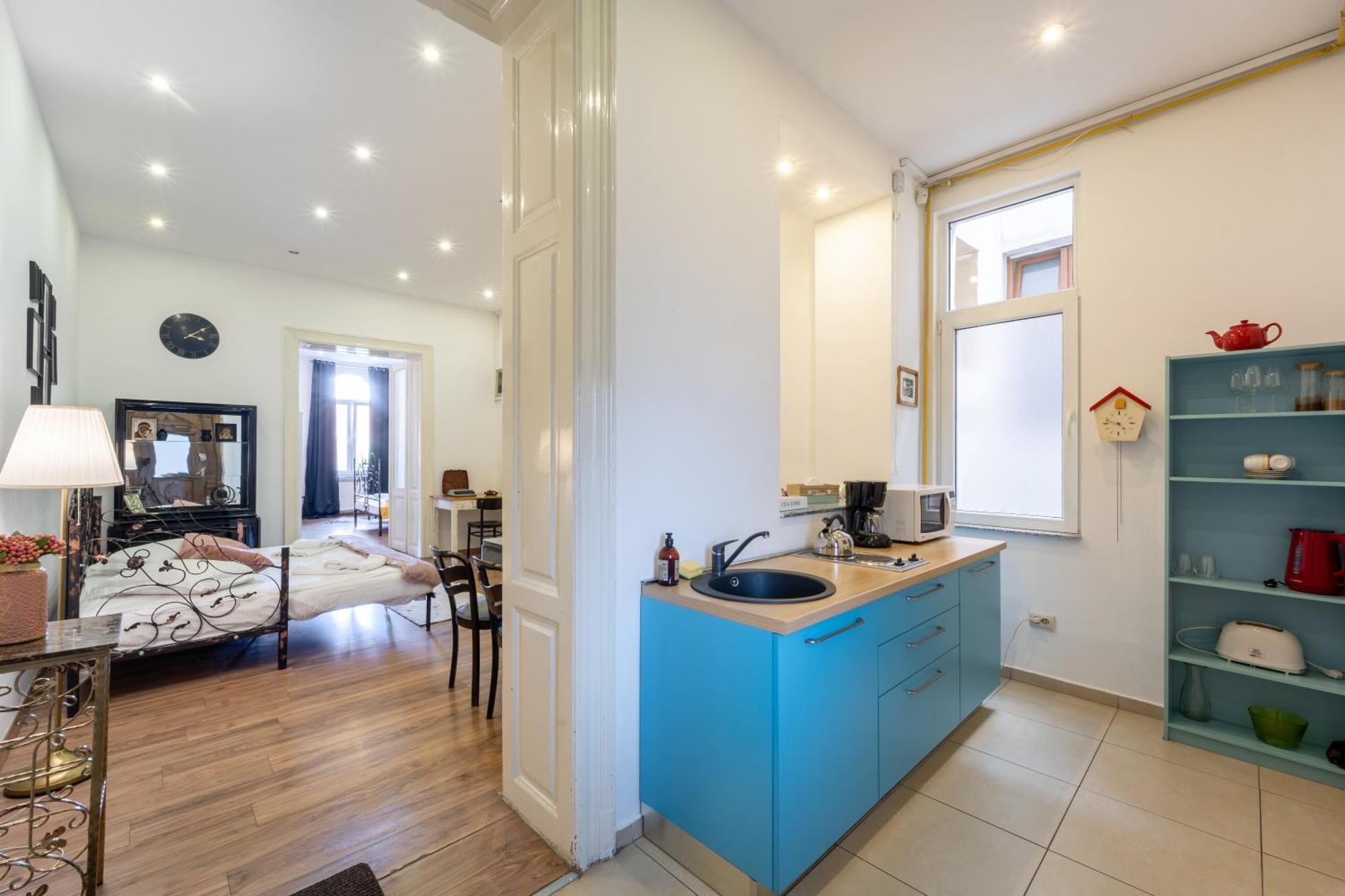 Cozy Spacious 5 Star Accommodation In The Heart Of Historic Center Клуж-Напока Экстерьер фото