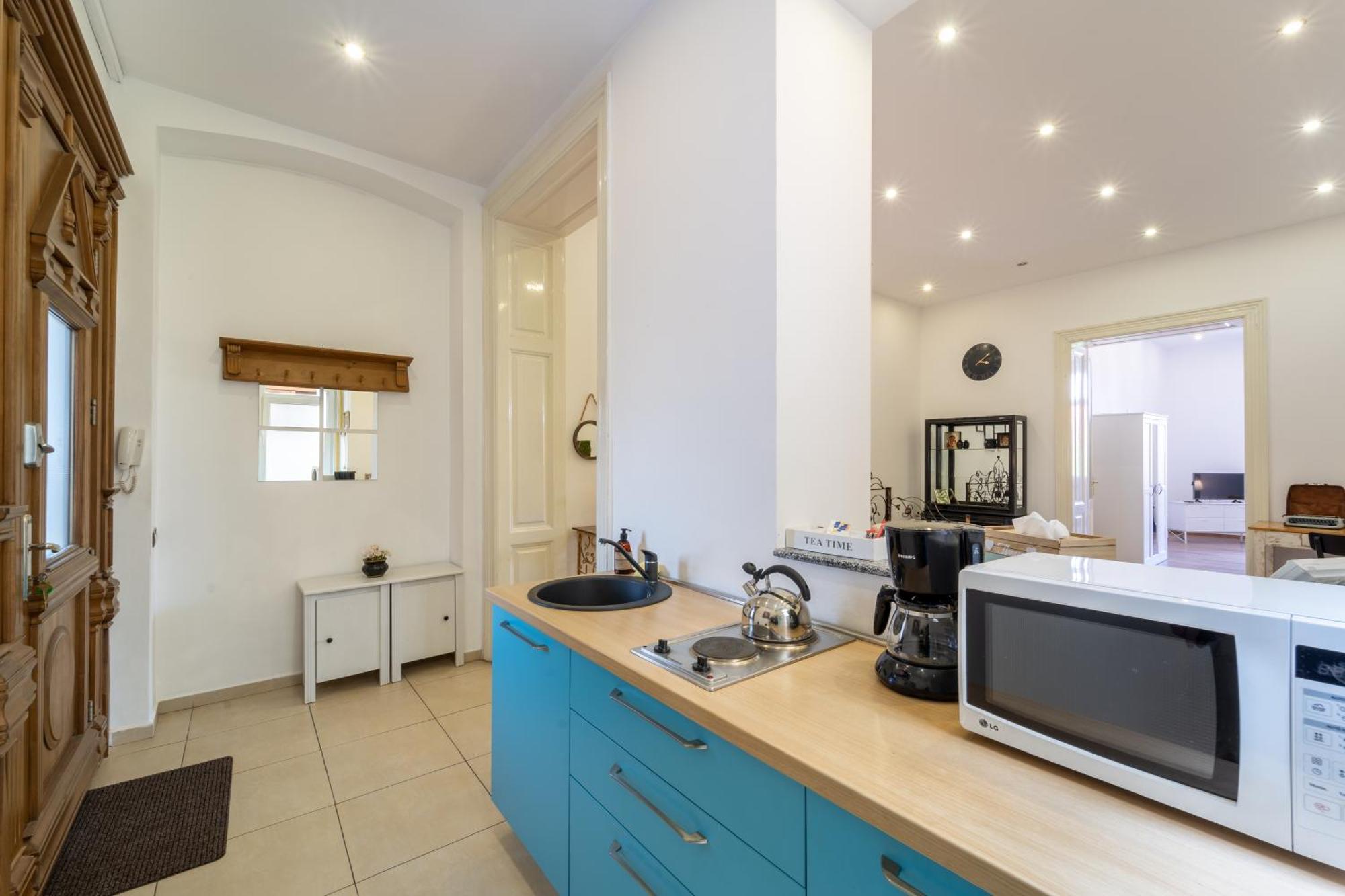 Cozy Spacious 5 Star Accommodation In The Heart Of Historic Center Клуж-Напока Экстерьер фото
